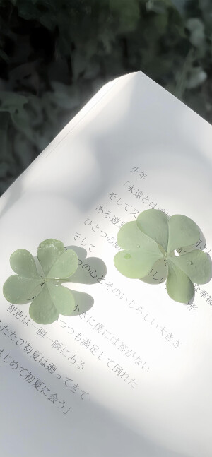 誓言是一场有时差的雨