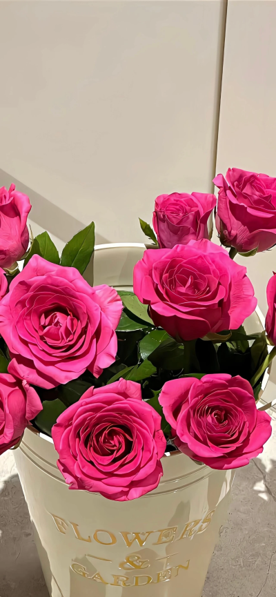 鲜花壁纸