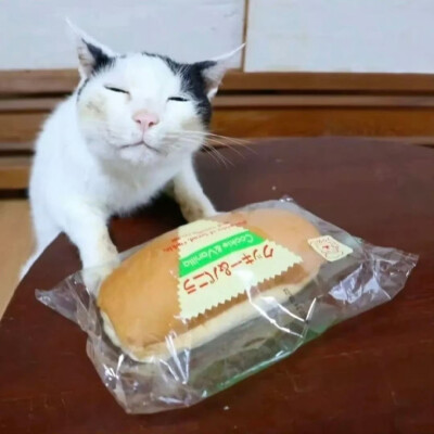 ×