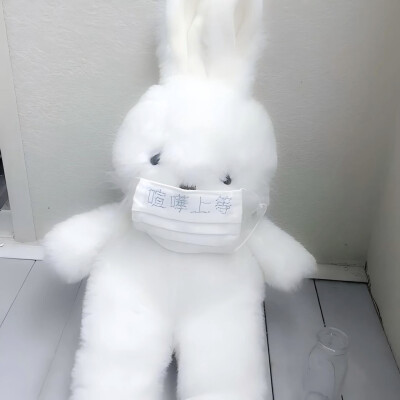 低饱和头像