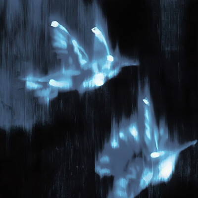 Dreams go by contraries / 虚幻…