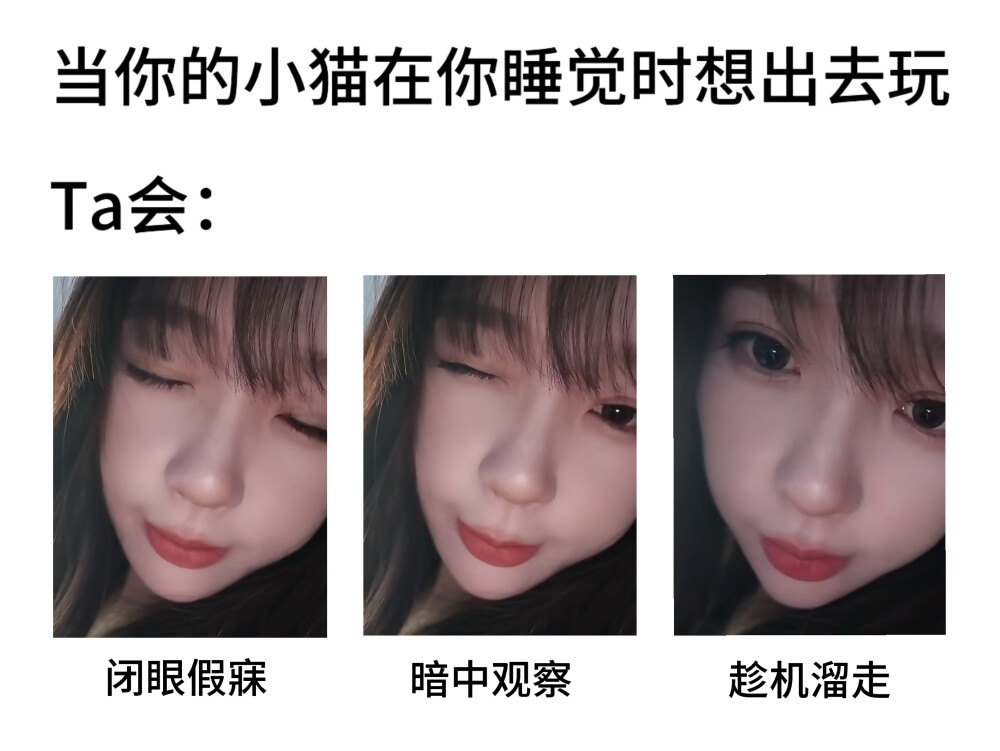 小猫天性