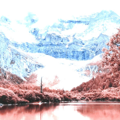 
我在灰烬里看见了光
