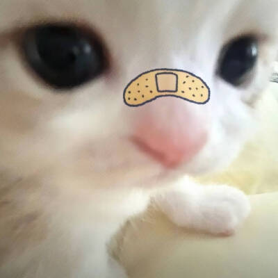 卡哇伊
