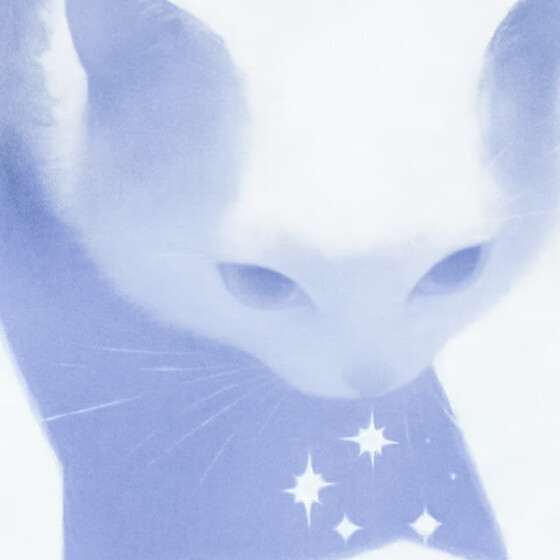小猫电台聆听你的心事˖*⚝♫•*ఇ
