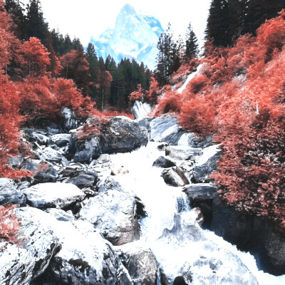 
我在灰烬里看见了光
