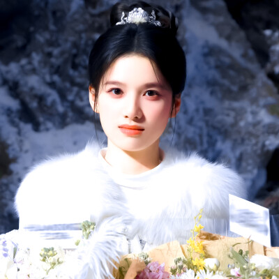 张婧仪