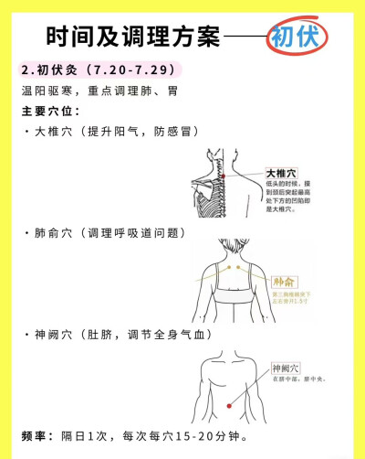 养生小知识