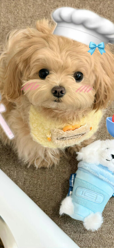 壁纸