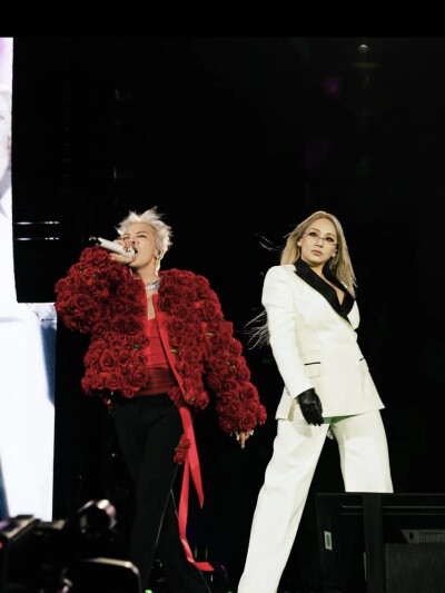 GD the leaders