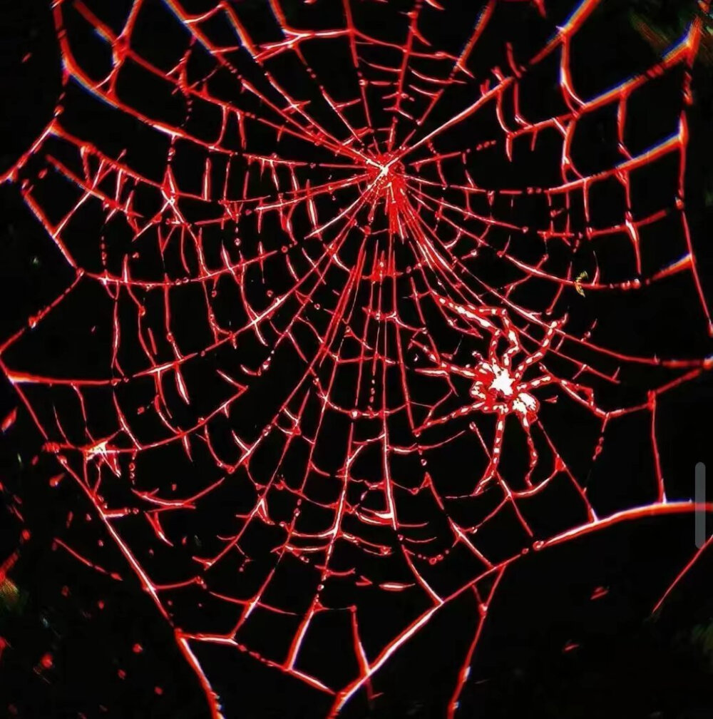 撒谎的人语言表达表面