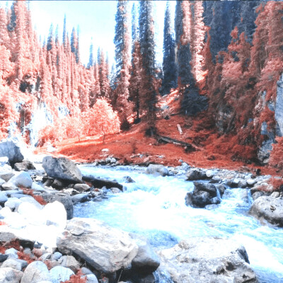 
我在灰烬里看见了光
