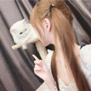 喵咪酱