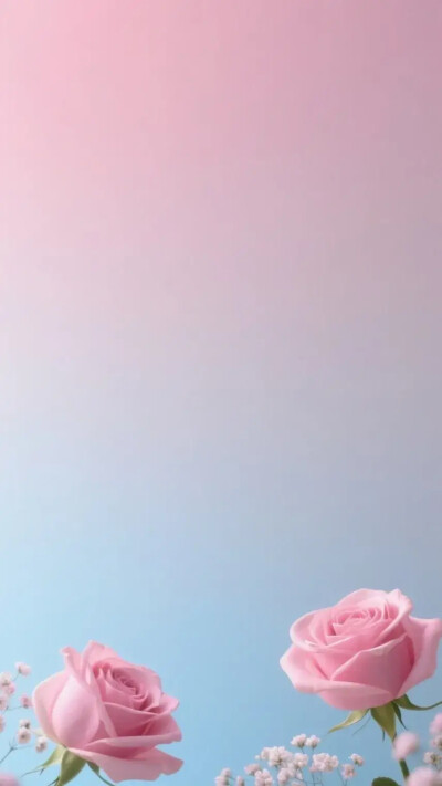 玫瑰