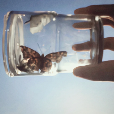 草在结它的种子，风在摇它的叶子，我们站着，不说话，就十分美好。