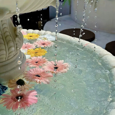 套图｜女头背景图搭配