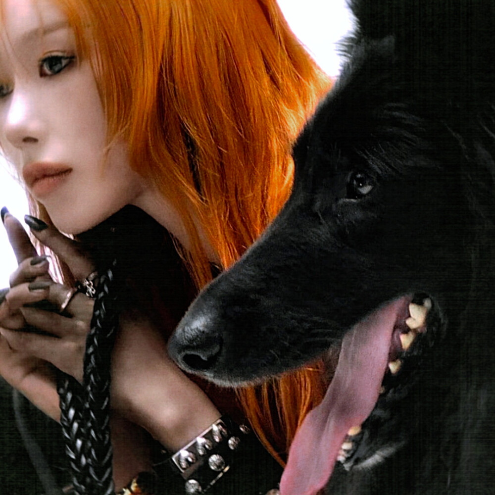 ハウンド：剧本/Female leading role.