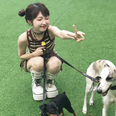 白昼小熊