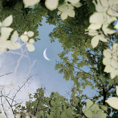 背景