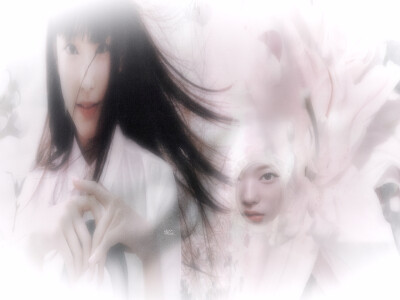 백합lily