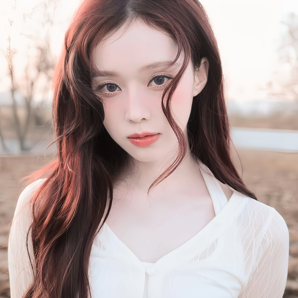 二改注明陈文嘉