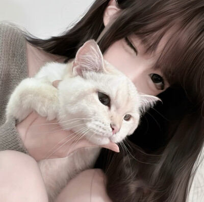 女头
优质