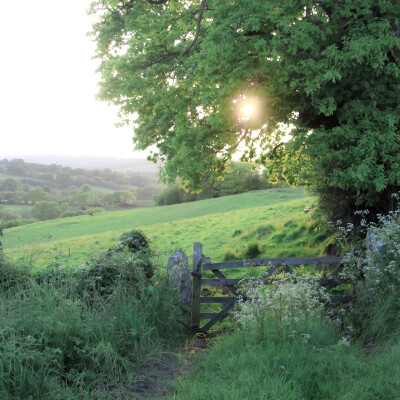 *春和花野：사랑、romantic（見花の则喜）