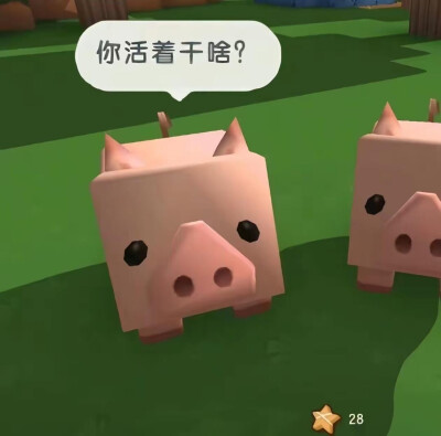 审美积累