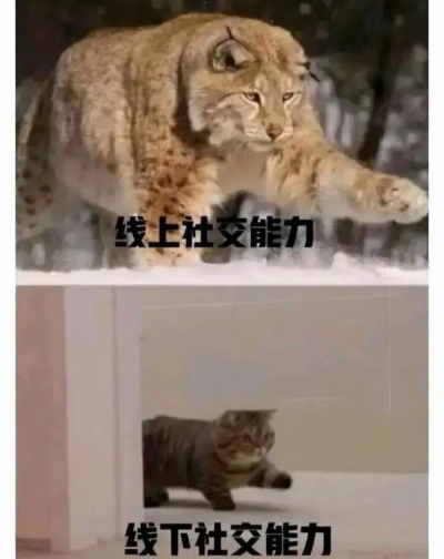 文字