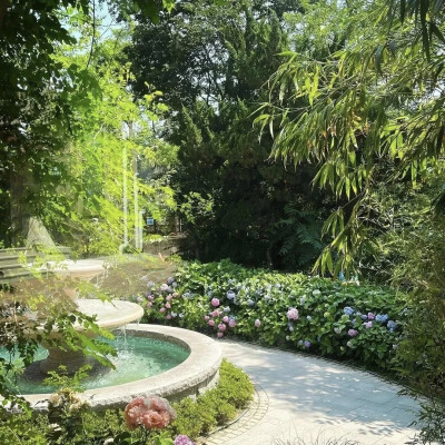 背景