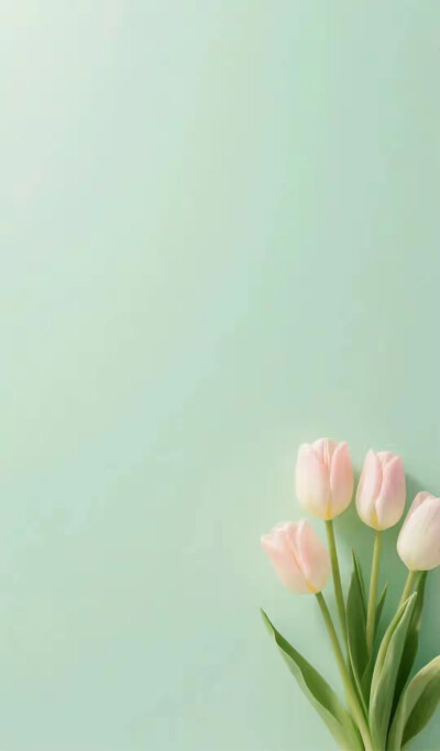 玫瑰