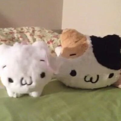 (>﹏<)