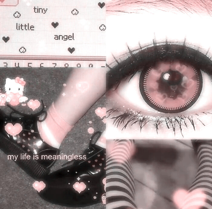 二改注明陈文嘉