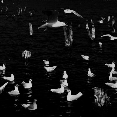 Ashen Eucharist-灰烬圣餐台-