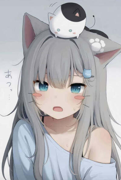 猫羽雫