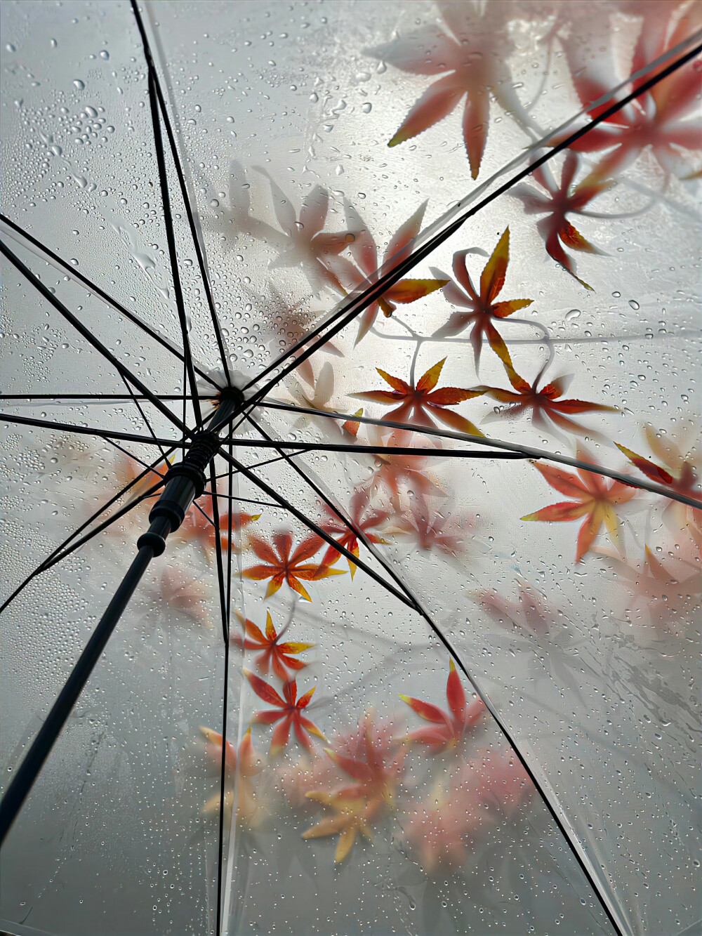 雨天背景图