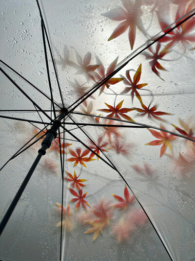 雨天背景图