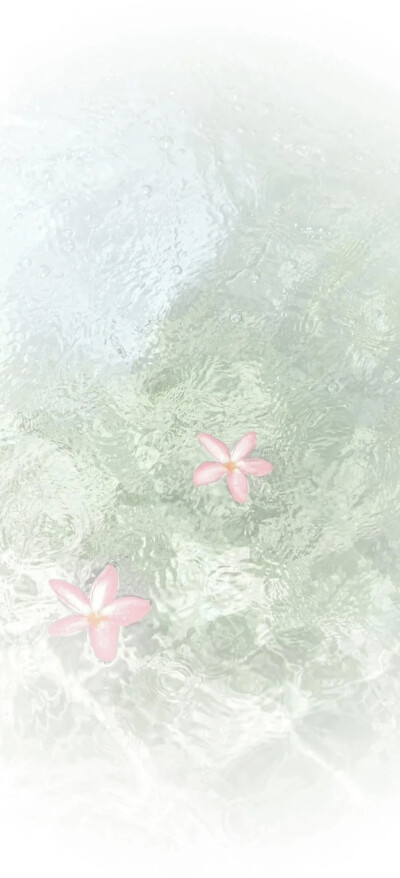 聊天背景