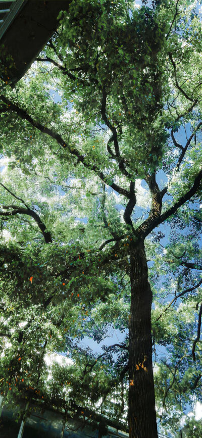 慢慢翻阅生活的彩页