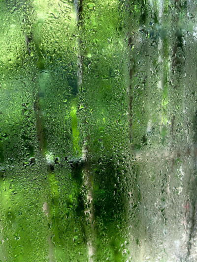 雨天背景图 绿色系背景图