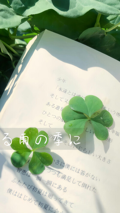 绿色系壁纸 小众壁纸