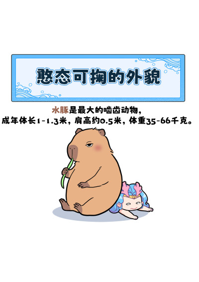 水豚憨态可掬的外表
﻿﻿@艾瑞巴蒂EveryBuddy﻿ ﻿@知识薯﻿ ﻿@薯宝宝﻿ ﻿@人文薯﻿ #巴蒂和她的朋友们#拥抱自然开心每一程#巴蒂魔法学院#原创漫画#科普#海洋#趣味知识科普﻿#水豚#卡皮巴拉