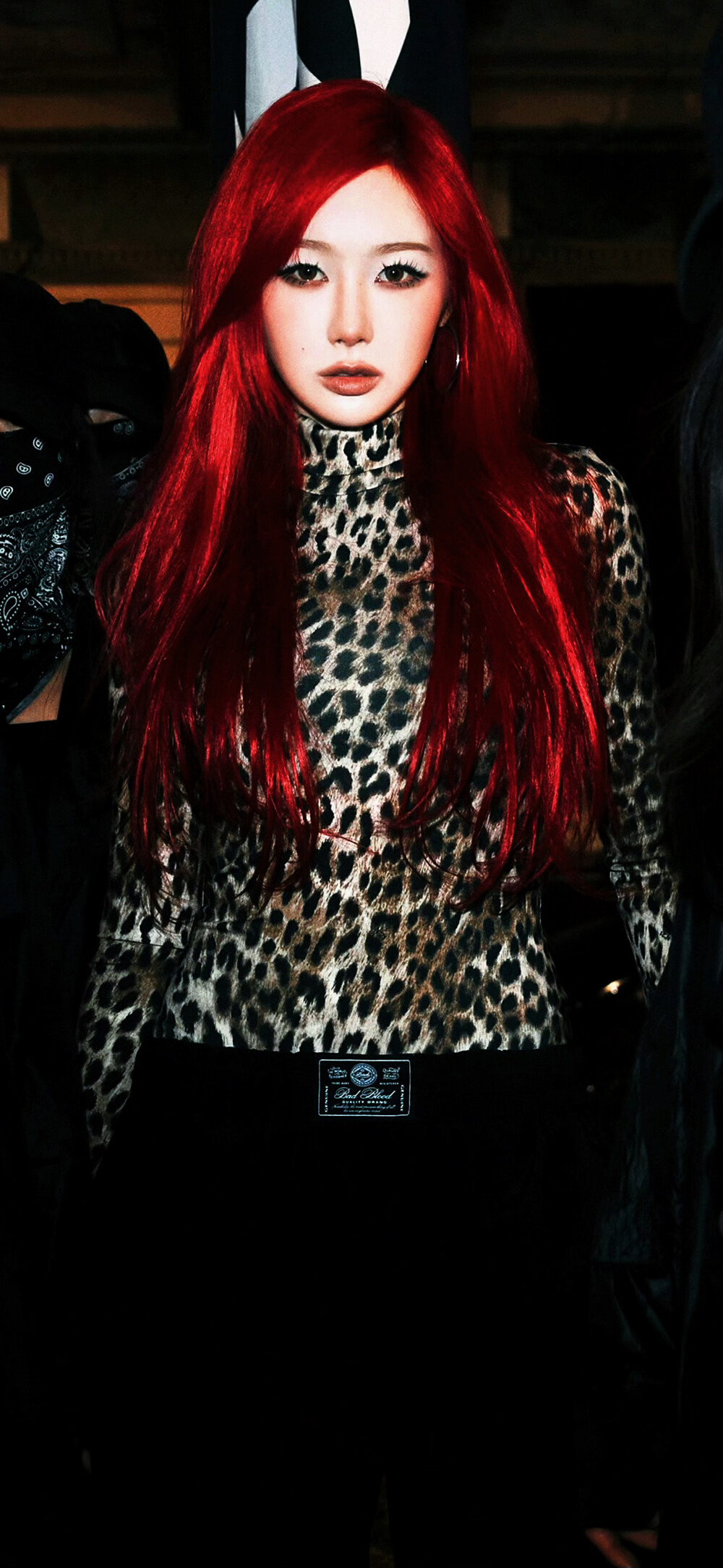 Giselle
拿图看简介