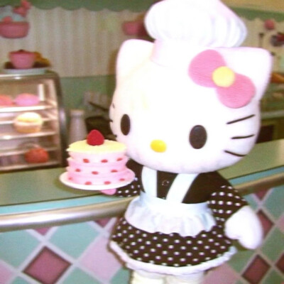 kitty