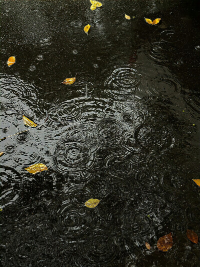 雨天背景图 暗调背景图 黑色系背景图