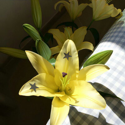 百合花背景图