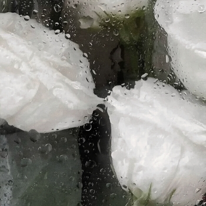 窗台外 暴雨淹没的世界
