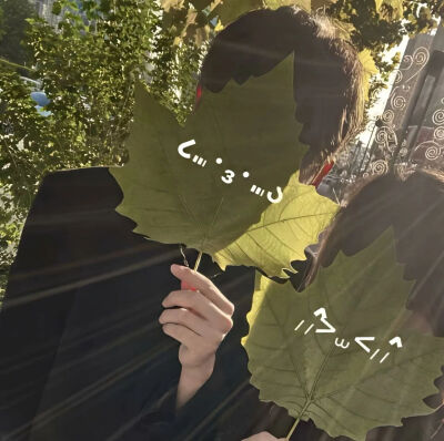 真人情头［侵权删］