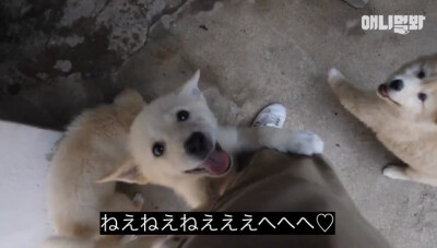 ૮₍ ᵔ⤙ᵔ ₎ა
