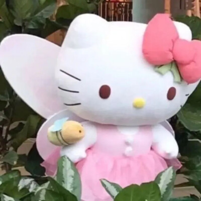 kitty